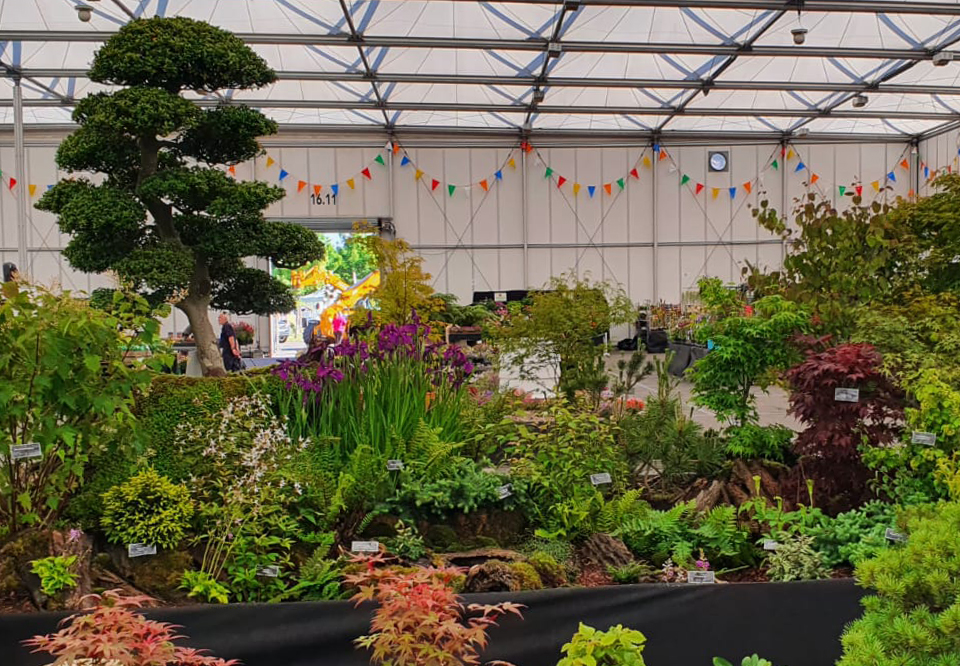 David Cheshire Nurseries win Platinum at at BBC Gardeners World Live 2022