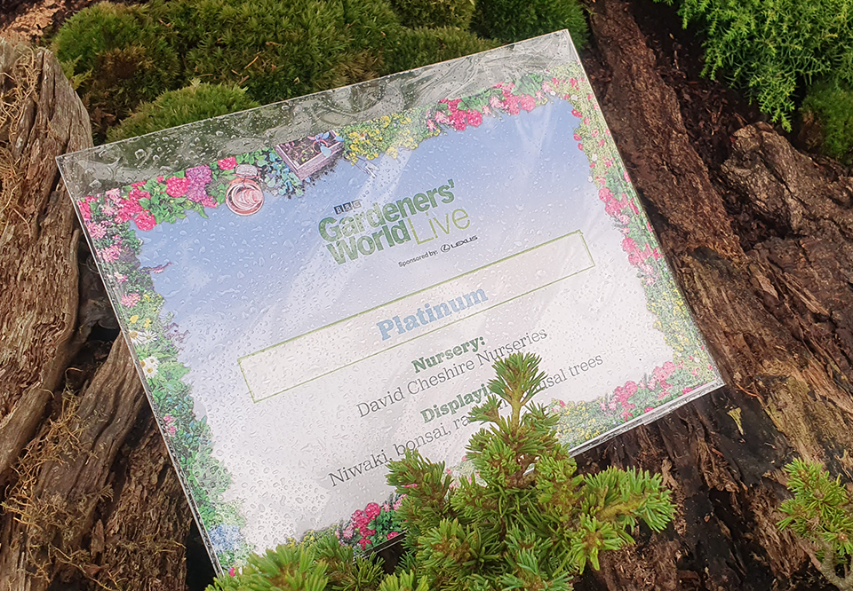 David Cheshire Nurseries win Platinum at BBC Gardeners World Live 2023 David Cheshire Nurseries win Platinum at BBC Gardeners World Live 2023
