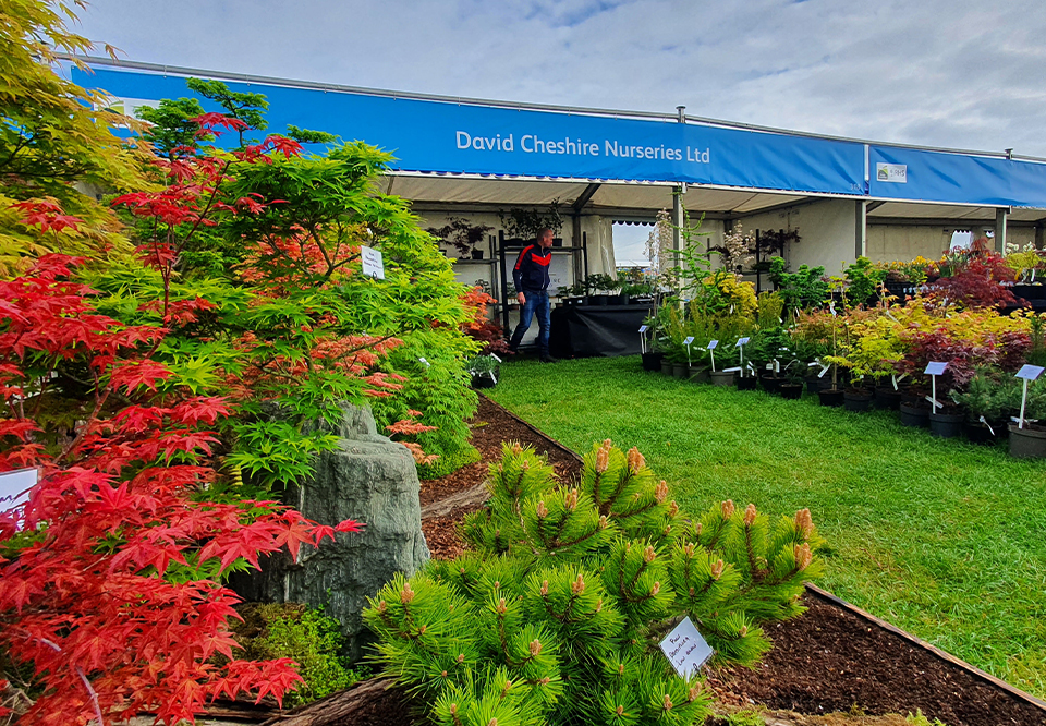 Five Flower Plant Village Award at RHS Malvern 2022 Five Flower Plant Village Award at RHS Malvern 2022